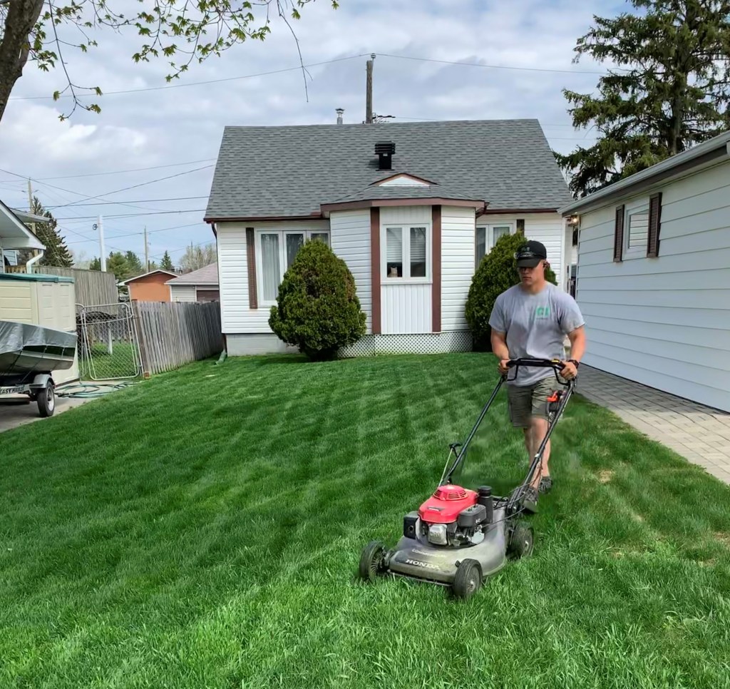 Grass Cutting
