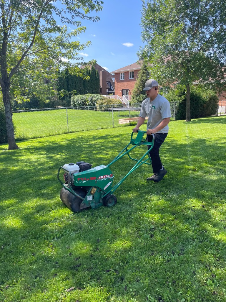 Lawn Aeration